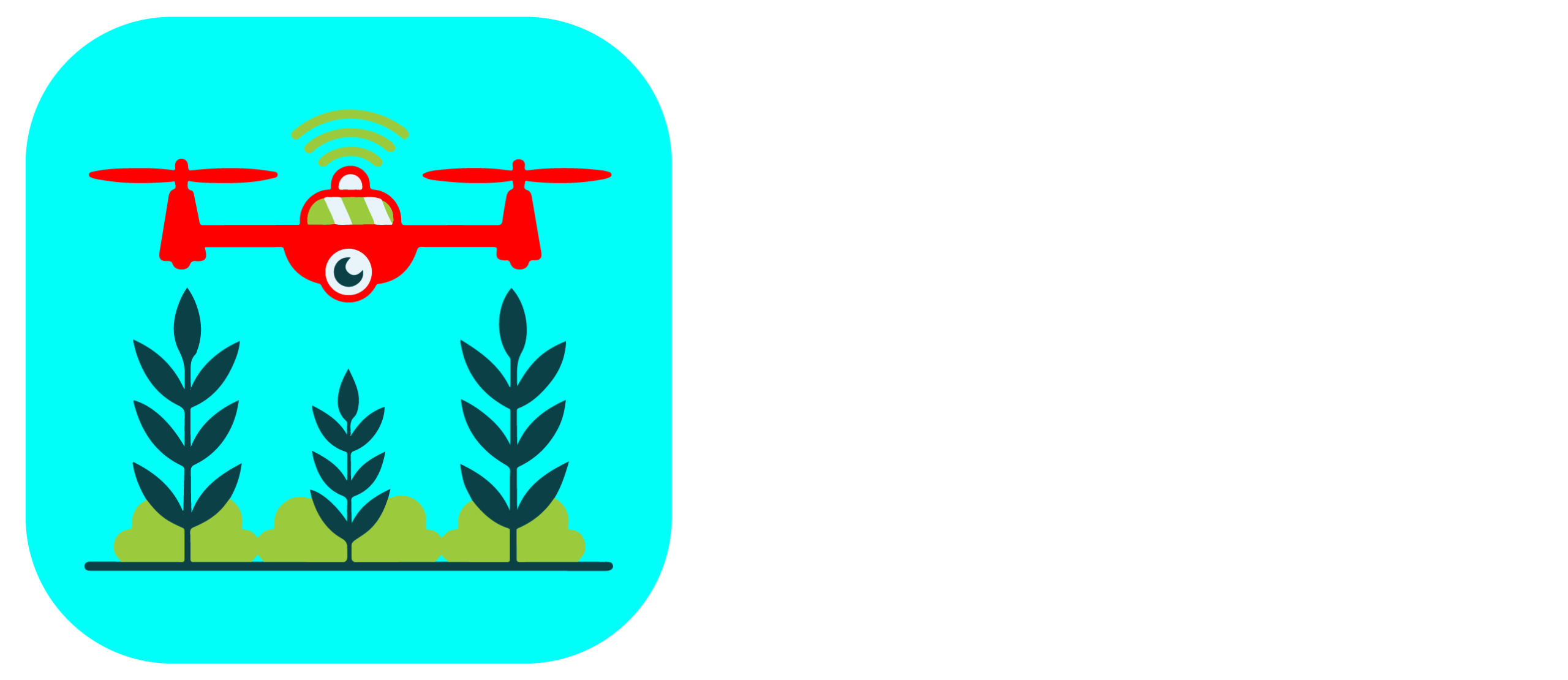 PT Tano Agro Lestari Makmur